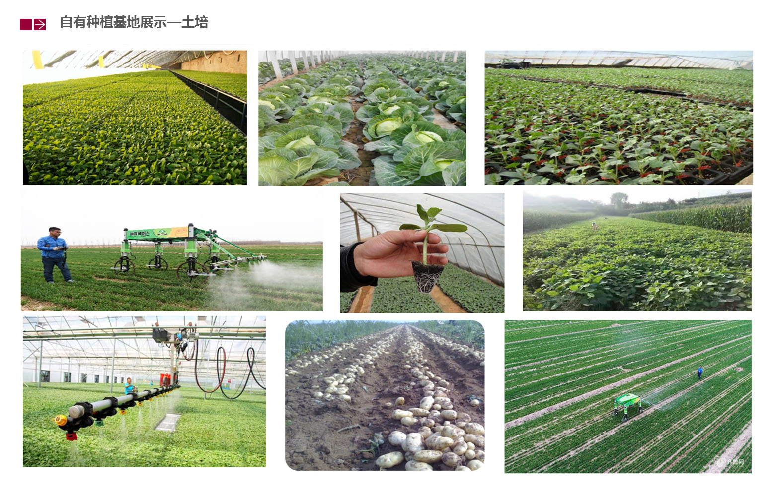 &#38647;&#31454;&#25216;&#40;&#20013;&#22269;&#41;&#23448;&#26041;&#32593;&#31449;&#45;&#30331;&#24405;&#20837;&#21475;